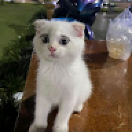 Kanhhj