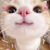 Huanhan