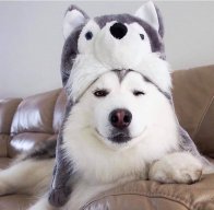Hư Tồn Vô Tại