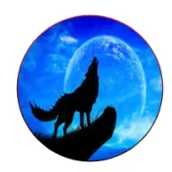 Riêng một góc trời