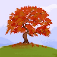 Chủnhật là ngày quẩy code