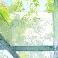 cá rồi cũng biết bay