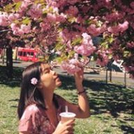 Hgthao265