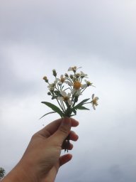 Hằng ~.~