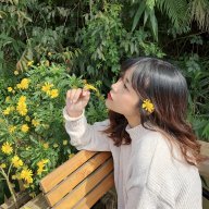 Vũ Mộc Mộc