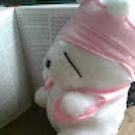 Nhan Song Song