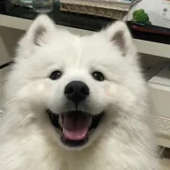 Minday