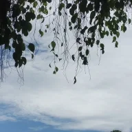 Vân Tại Thanh Thiên