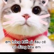 dungkkkk00