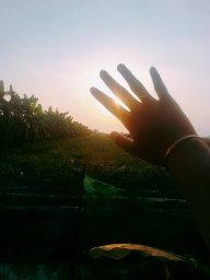 Phong Kì Tuyết Giao