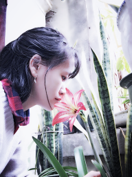 Lời dịu dàng hoài phí
