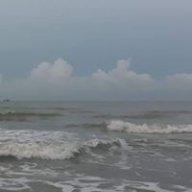 phụng