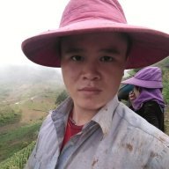 MA A PHỦ