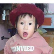 Lediemquynh1993