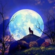 Lê Trần Duy Mạnh