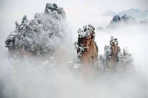 Thanh Tâm Vô Cầu