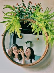 Crazis