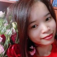 Inlaytdam
