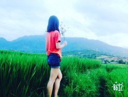 Thuthuy0397