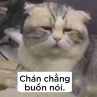 Vạn Dặm Tầm Phu