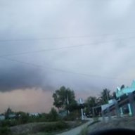 Vương mộng triều