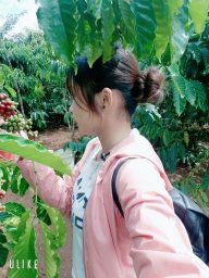 Quỳnh trinh