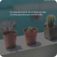 nhu_17