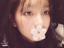 Hoa_Thạch_Thảo