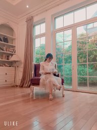 Một con mèo lười