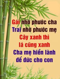sautaoee