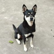 Bluechocolate