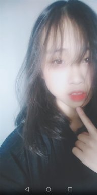 Nấm lùn tachi