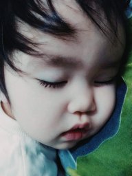 Trinh_trinh