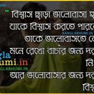 ANUPD