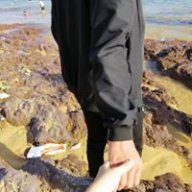 Ngontinhhi
