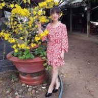 phuongloantn0426