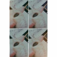 Thaoktk