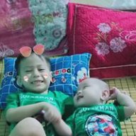 Phongmeo1003
