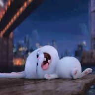 tiểu lala