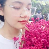 Haiyan_281