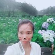 Mai1306