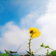 Tư Hy Công Tử