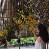 Hang_nguyen7785