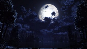 Look At The Moon