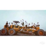 Hoa xương rồng nhỏ