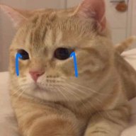 Sâu no hope