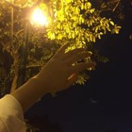 Trangkwon