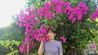 Cúc Trần