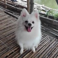 nhipu.mini