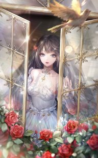 AkiraSakura